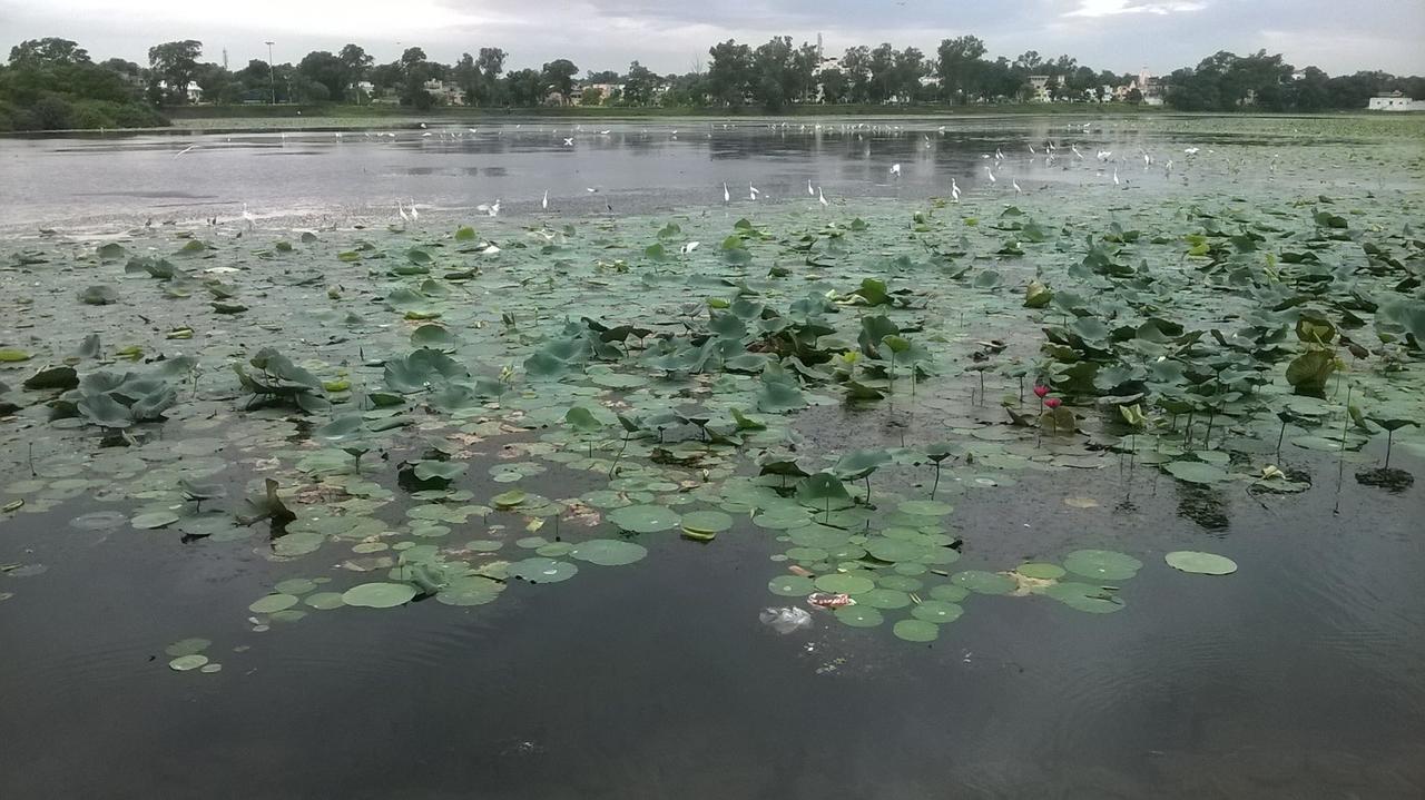 Hotel Akash Sarovar 普鲁利耶 外观 照片